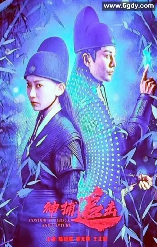 2025年国产古装片《神捕追击》HD国语中字迅雷下载