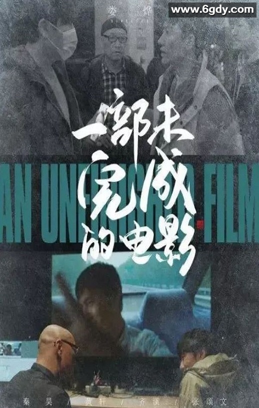 2024年国产纪录片《一部未完成的电影》HD国语中字迅雷下载
