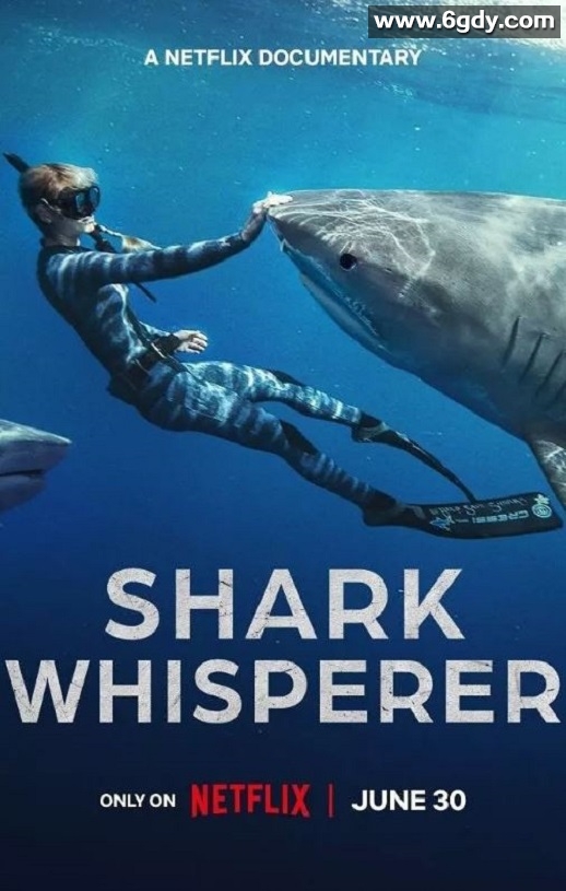 2025年美国纪录片《鲨语者》HD英语中字迅雷下载
