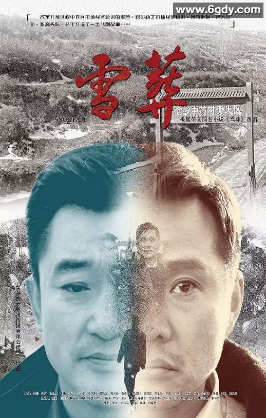 2018年国产7.4分剧情片《雪·葬》HD国语中英双字迅雷下载