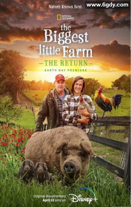 2022年美国纪录片《最大的小小农场：回归》HD国粤英三语中字迅雷下载
