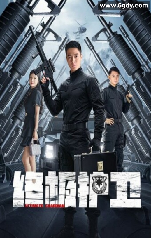 2025年国产动作片《终极护卫》HD国语中字迅雷下载
