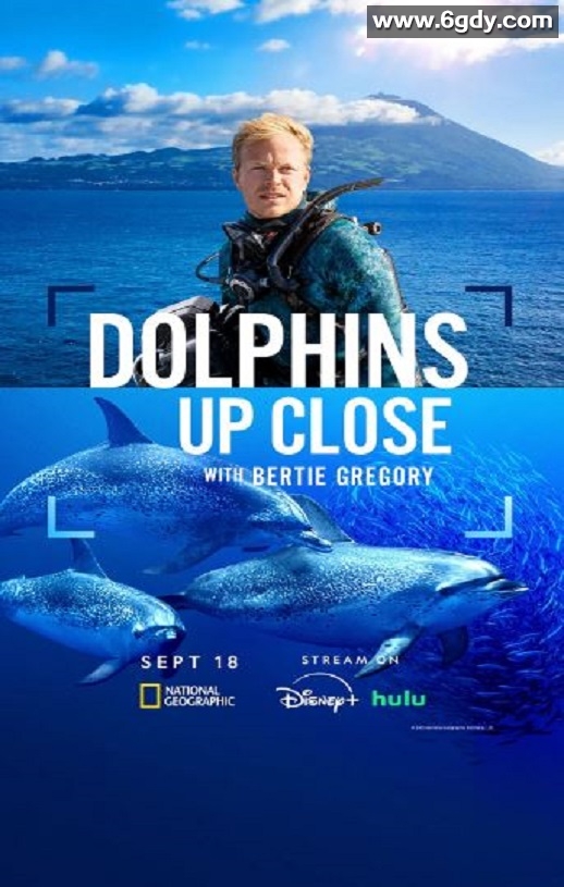 2025年美国纪录片《摄影师贝尔蒂与海豚零距离》HD英语中字迅雷下载