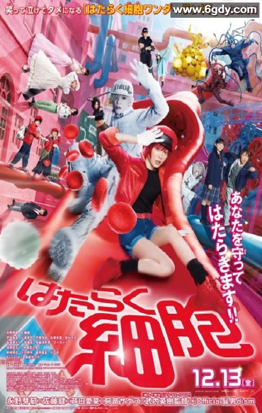 2024年日本奇幻片《工作细胞 真人版》BD国日双语中字迅雷下载