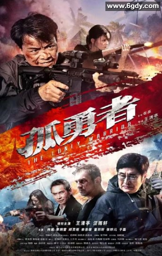 2025年国产动作片《孤勇者》HD国语中字迅雷下载