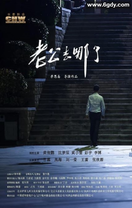 2019年国产喜剧爱情片《老公去哪了》HD国语中字迅雷下载