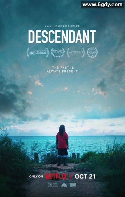 2022年美国纪录片《非洲城的后裔》HD英语中字迅雷下载