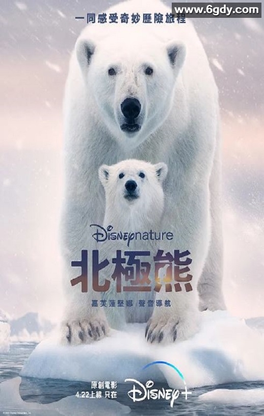 2022年美国纪录片《北极熊》HD国粤英三语中字迅雷下载