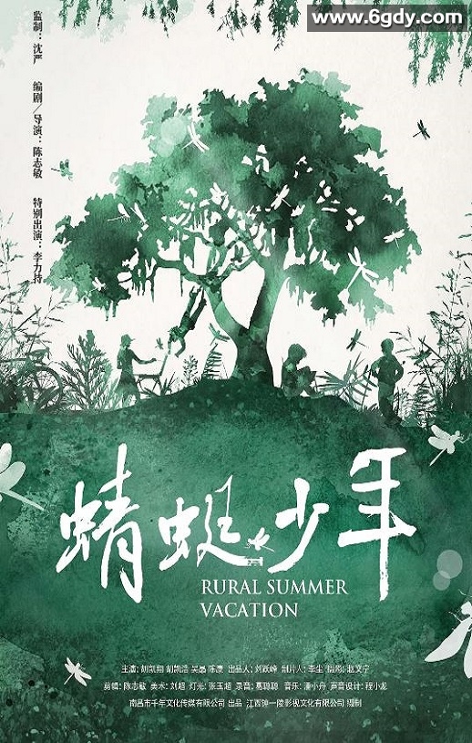 2019年国产7.5分剧情片《蜻蜓少年》HD国语中字迅雷下载