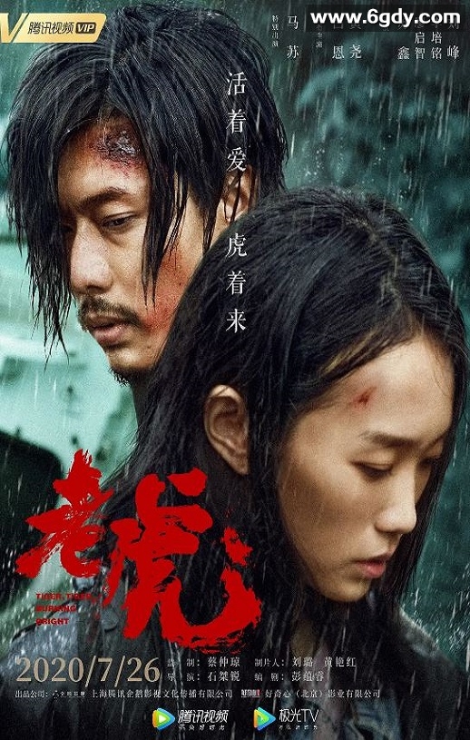 2020年国产悬疑片《老虎》HD国语中字迅雷下载