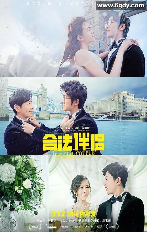 2019年国产喜剧片《合法伴侣》HD国语中字迅雷下载