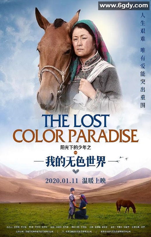 2020年国产剧情片《阳光下的少年之我的无色世界》HD国语中字迅雷下载