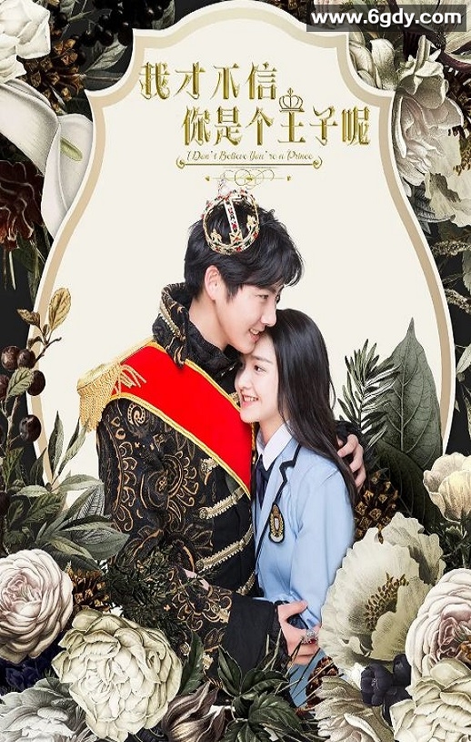 2020年国产剧情片《我才不信你是个王子呢》HD国语中字迅雷下载