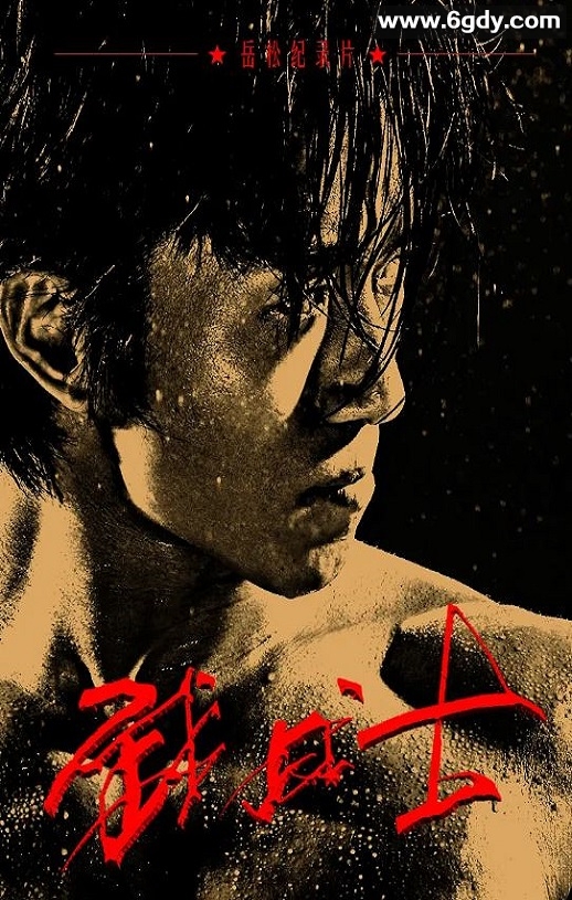 2020年国产传记片《武战士》HD国语中字迅雷下载