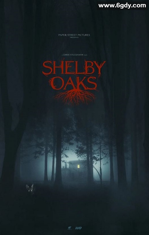 2024年美国惊悚片《寻踪迷镇》BD中英双字迅雷下载