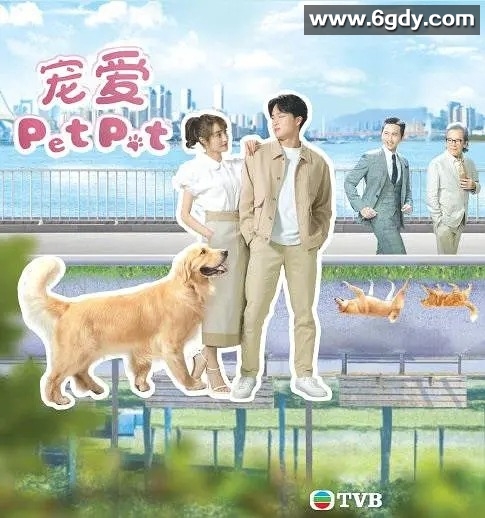 喜剧爱情《宠爱Pet Pet》20集 1080P粤语中文字幕版
