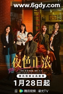 夜色正浓(2026)完结更新至第11集迅雷网盘全集下载