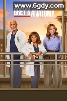 实习医生格蕾 第二十二季(2025)完结更新至第10集迅雷网盘全集下载