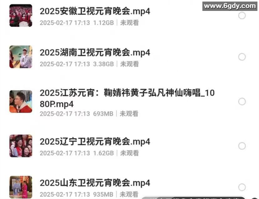 25年央视元宵晚会各卫视元宵晚会4k高码率资源 