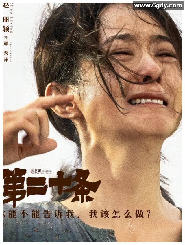 张艺谋 第二十条 