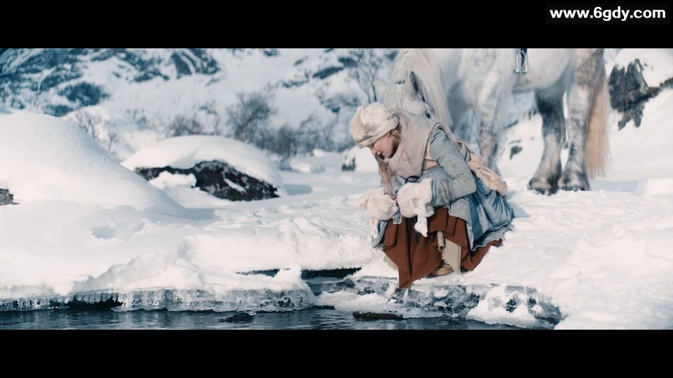 [2021] [多版本] [挪威语中字] [1080P] 魔幻灰姑娘：家庭娱乐的精彩选择 