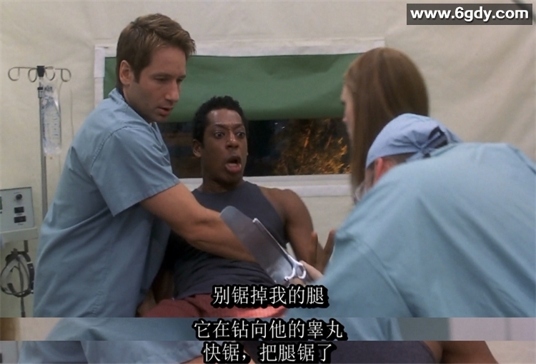 进化危机：超速度进化的影响力[2001][英语中字][1080P] 