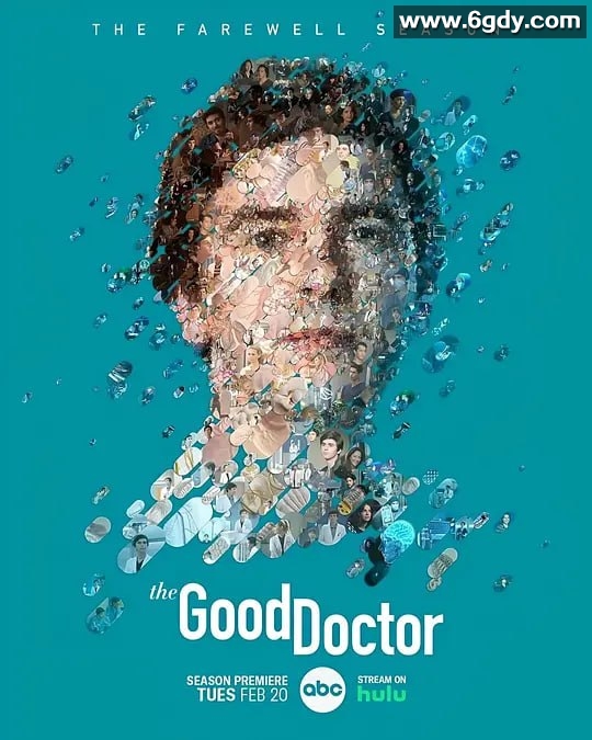 良医(The Good Doctor) 1-7季 1080p 