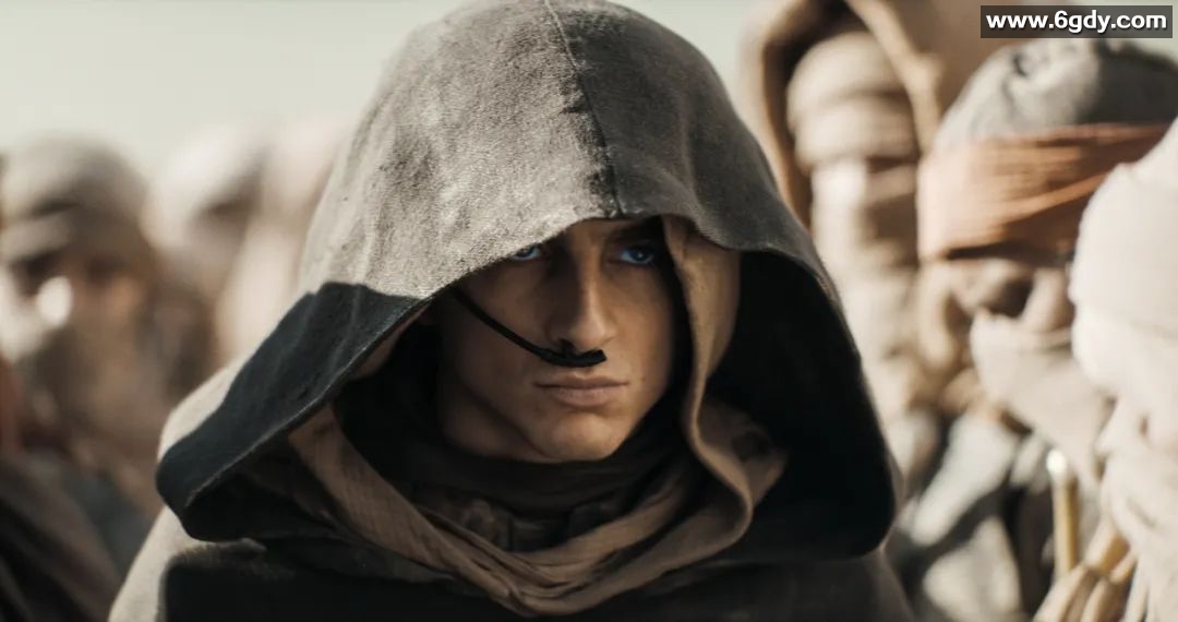 《沙丘2》4K原盘REMUX 杜比视界的视听体验 