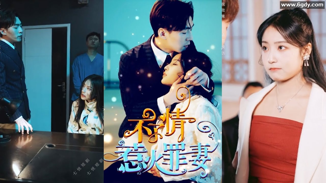 640、不了情惹火罪妻（夫人，傅总他罪该万死）【热播短剧】 