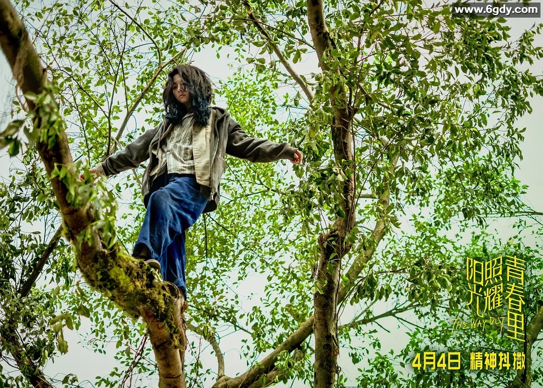 2025年电影《阳光照耀青春里》：4KHDR60FPS高帧率，杜比数字音频，主演肖央、春夏、陈明昊、蒋奇明，剧情亮点十足 