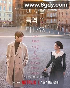 爱情怎么翻译（2026）全集/韩语中字/4k原盘未删减/单集10GB左右/夸克/百度 