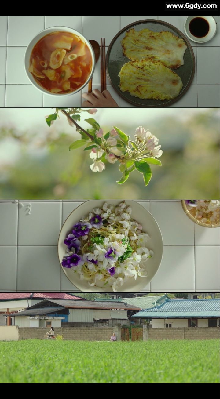 小森林 2018 韩国版 豆瓣7.5 蓝光原盘REMUX 原盘简繁中字 