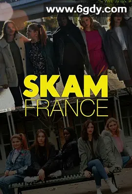 【夸克网盘】Skam 羞耻 法国版 【多国版齐全】全1–4季  中英字体 4K高清 