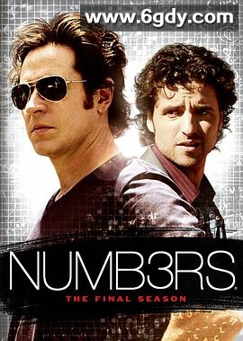 数字追凶第六季(2009)完结更新至14集迅雷网盘全集下载