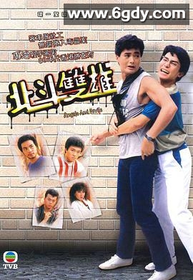 北斗双雄(1983)完结20集全迅雷网盘全集下载