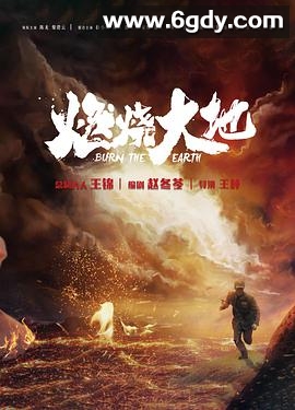 燃烧大地(2020)完结37集全迅雷网盘全集下载