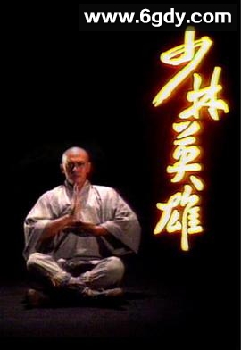 少林英雄(1986)完结20集全迅雷网盘全集下载