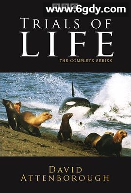 生命之源(1990)完结已完结 共12集迅雷网盘全集下载