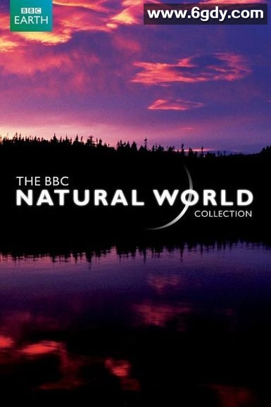 BBC 自然世界 2010 神秘的豹(2010)完结5集全迅雷网盘全集下载