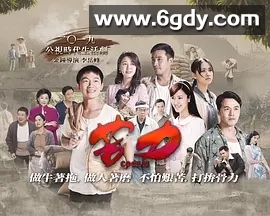 苦力(2019)完结已完结 共30集迅雷网盘全集下载