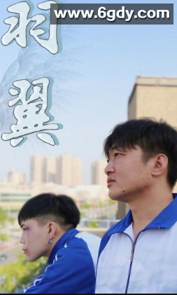 羽翼(2022)完结已完结 共6集迅雷网盘全集下载