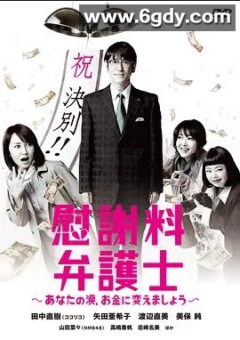 抚慰金律师(2014)完结已完结 共12集迅雷网盘全集下载