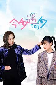 今夕遇何夕(2022)完结已完结 共24集迅雷网盘全集下载