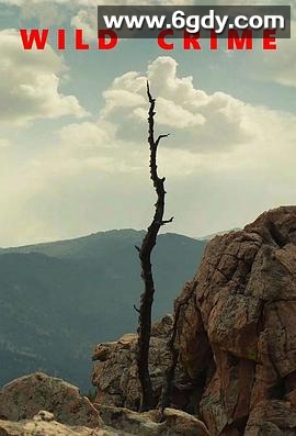 狂野罪行(2021)完结4集全迅雷网盘全集下载