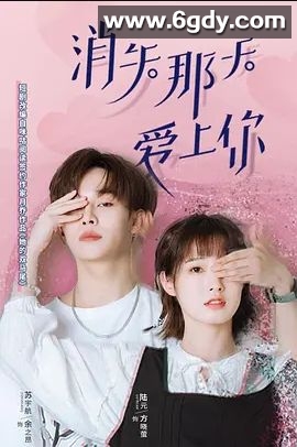 消失那天爱上你 2022(2022)完结已完结 共12集迅雷网盘全集下载