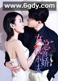 女总裁的小娇夫(2022)完结更新至12集迅雷网盘全集下载