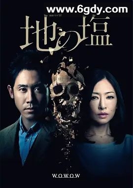 地之盐(2014)完结已完结 共4集迅雷网盘全集下载