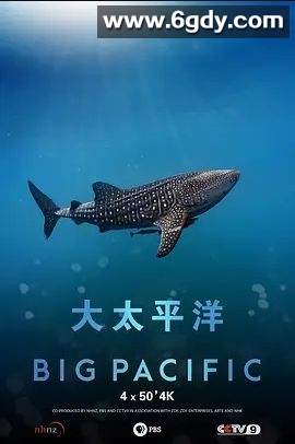 大太平洋(2017)完结已完结迅雷网盘全集下载