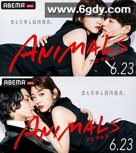 ANIMALS 归国篇(2022)完结已完结迅雷网盘全集下载