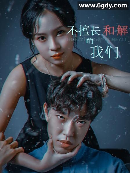 不擅长和解的我们(2023)完结更新至10集迅雷网盘全集下载